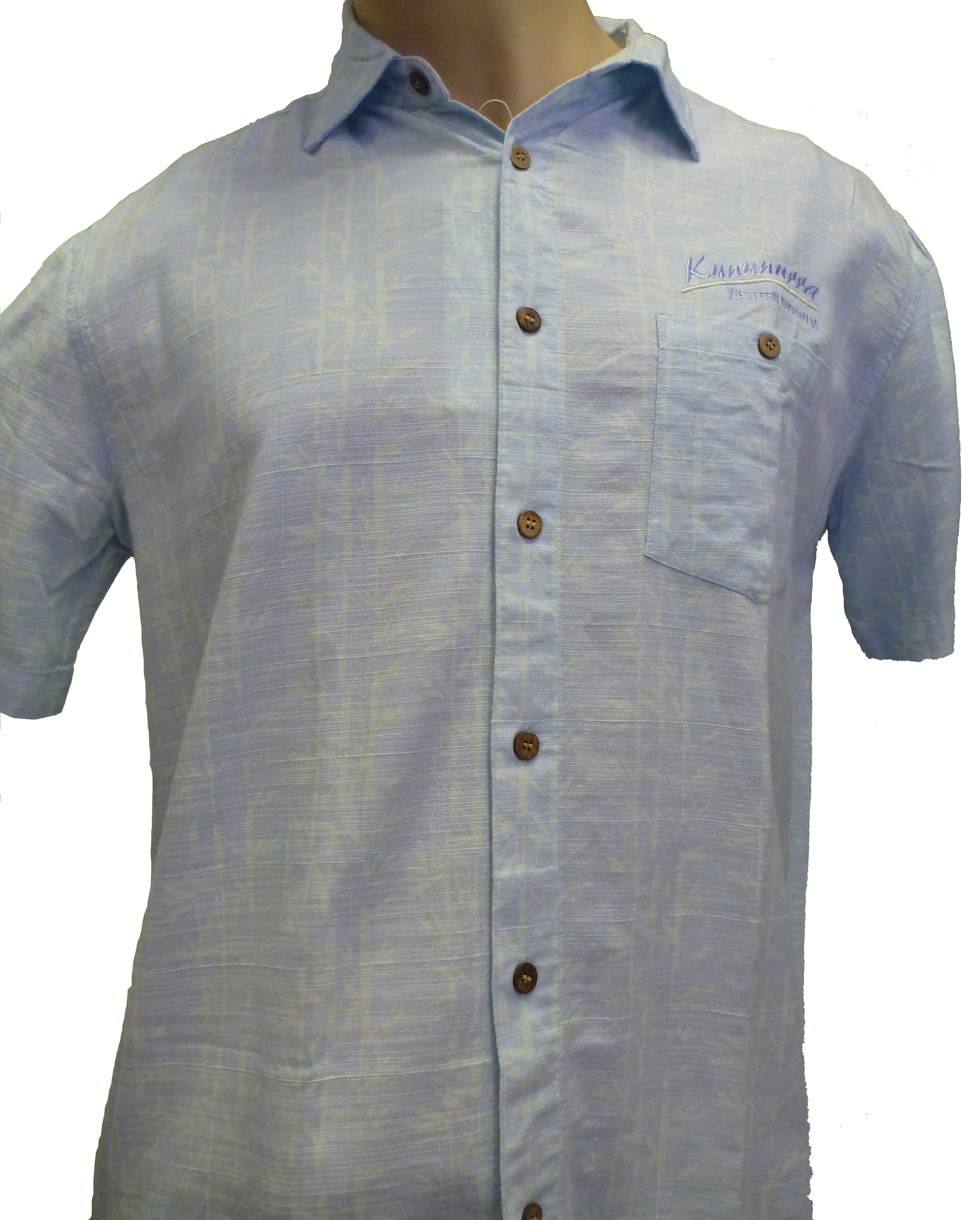 bamboo dress shirt